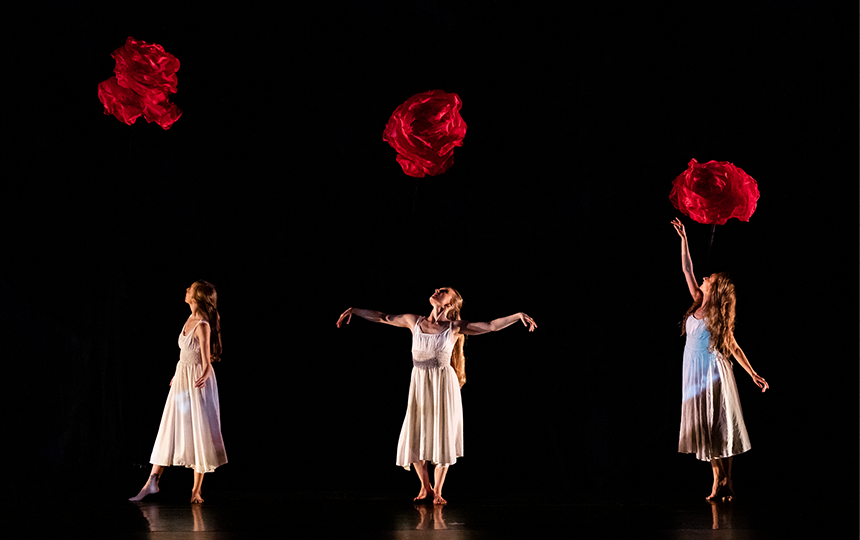 More Info for MOMIX: ALICE