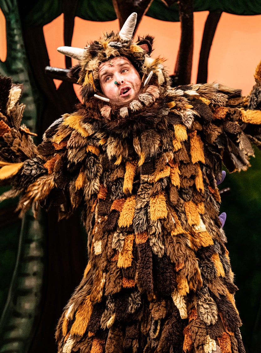 More Info for The Gruffalo